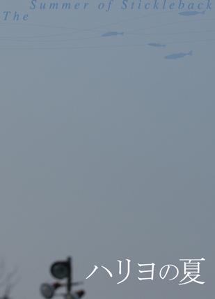刺鱼的夏天
