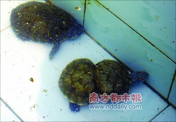 都想发财