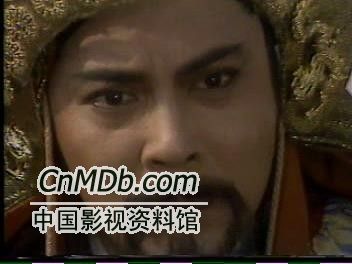 一门英烈穆桂英剧照