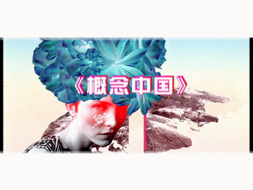 派格太合概念中国栏目精彩海报1/1