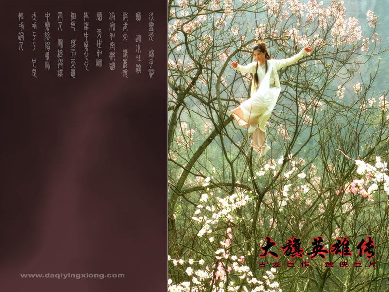 大旗英雄传剧照