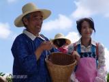 兄弟。无间精彩剧照5/26
