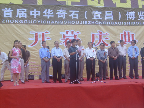 剧照-首届奇石博览会开幕 村官现场取景(组图)