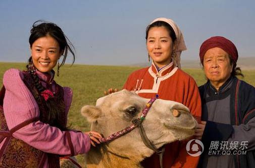 胡杨女人的剧照31