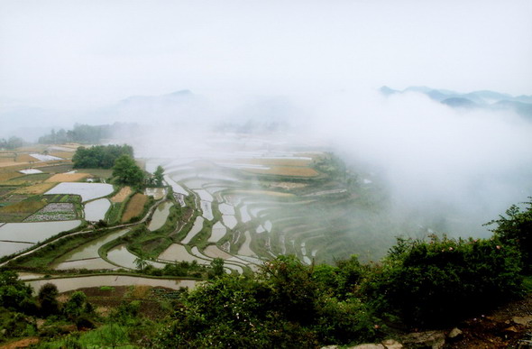 秋水长天剧照