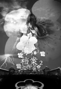 梅花档案剧照