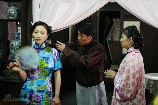 电视剧宅院女人精彩剧照(11)