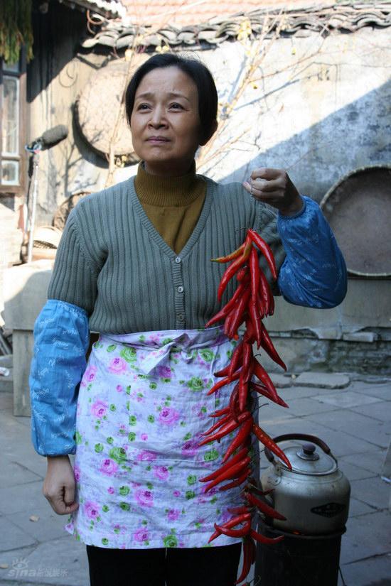 电视剧中国家庭精彩剧照(3)