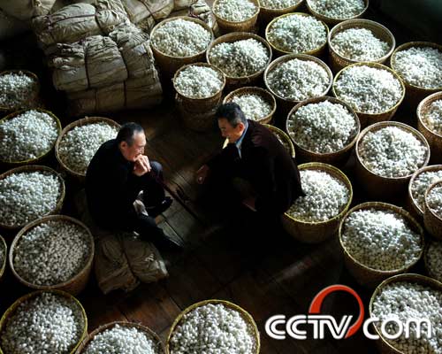电视剧十万人家精彩剧照(26)
