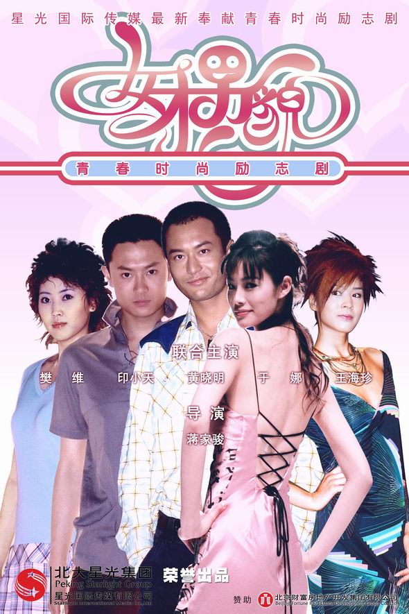 电视剧女才男貌海报