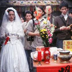 铁树花开剧照
