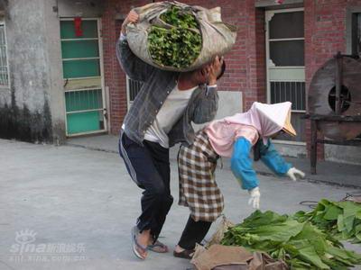 剧照-资料图片：电视剧菸田少年精彩剧照(6)