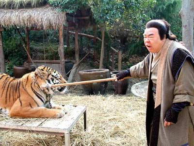盲侠金鱼飞天猪剧照
