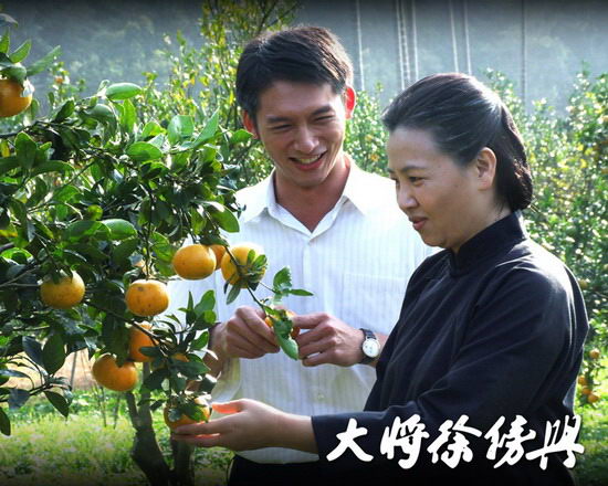 大将徐傍兴剧照