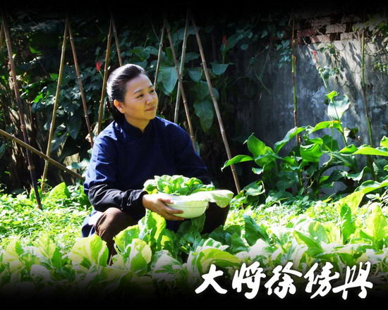 剧照-资料图片：电视剧大将徐傍兴精彩剧照(7)