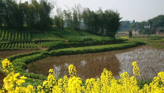 剧照-资料图片：电视剧许茂和他的女儿们外景(2)