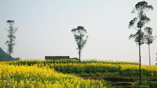 剧照-资料图片：电视剧许茂和他的女儿们外景(4)