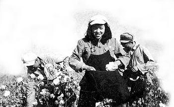 唐运秀1953年被评为当地摘棉花能手