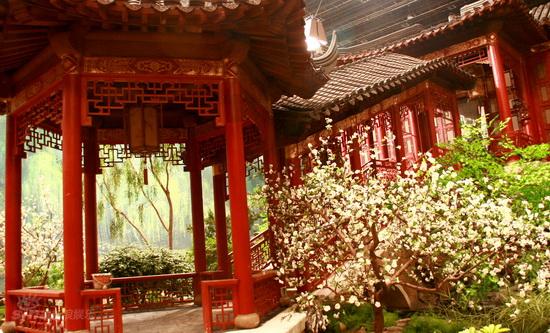 剧照-图文：红楼梦布景曝光--摄影棚内光线充足