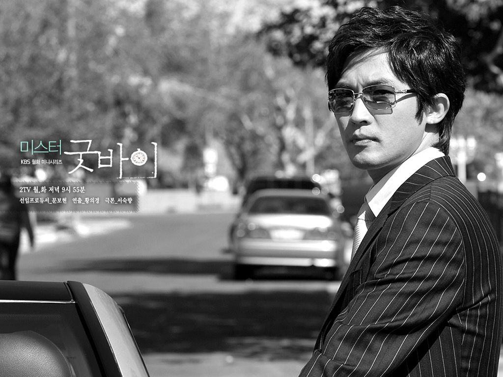 Mr.Goodbye的剧照23