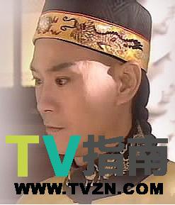 雍正（胤禛）谁演的
