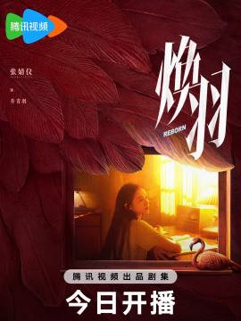 乔青羽谁演的