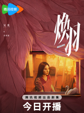 乔贝羽谁演的