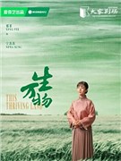邢菲