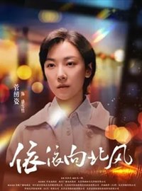 依依向北风演员菅纫姿