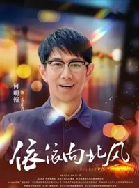 依依向北风演员何明翰