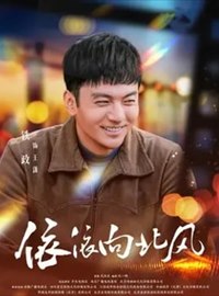 依依向北风演员铁政