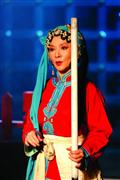 快乐2005--蔡明歌舞贺岁剧精彩剧照5/18