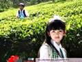 Heart心心相印精彩剧照2/9