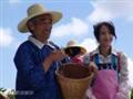 兄弟。无间精彩剧照5/26