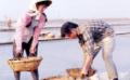 剧照-资料图片：电视剧盐田儿女剧照(7)
