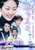电视剧梦里花开海报