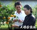 电视剧大将徐傍兴精彩剧照(2)
