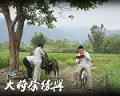 电视剧大将徐傍兴精彩剧照(4)