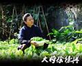剧照-资料图片：电视剧大将徐傍兴精彩剧照(7)