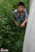 电视剧我想有个家剧照(10)
