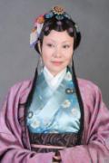 剧照-新版红楼梦荣宁府女眷--刘燕燕饰演赵姨娘