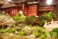 剧照-图文：红楼梦布景曝光--仰拍现场精美布景