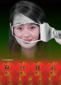 电视剧张灯结彩之美丽梦想海报(1)