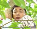TVB戆夫成龙精彩剧照(5)
