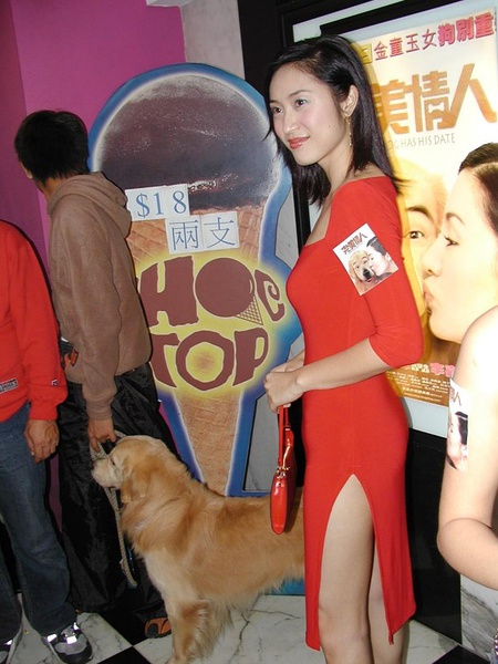 陈法蓉写真