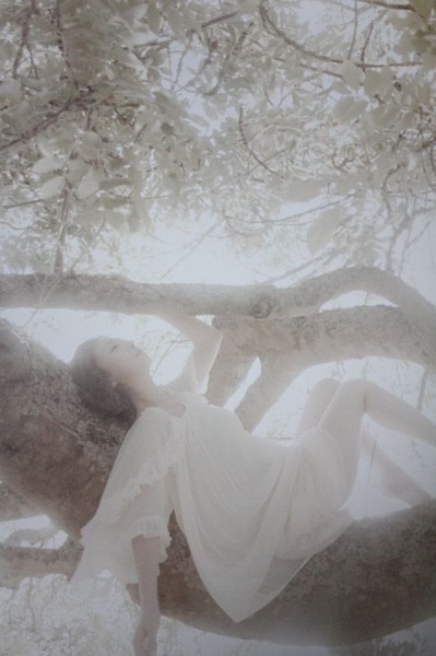 松雪泰子写真