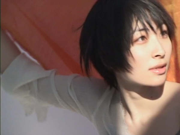 坂本真绫写真