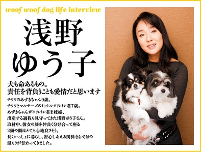 浅野优子写真
