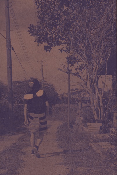 贺来贤人写真