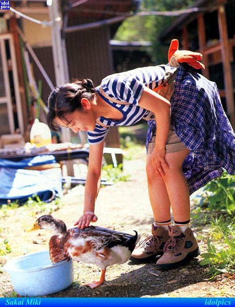 酒井美纪写真